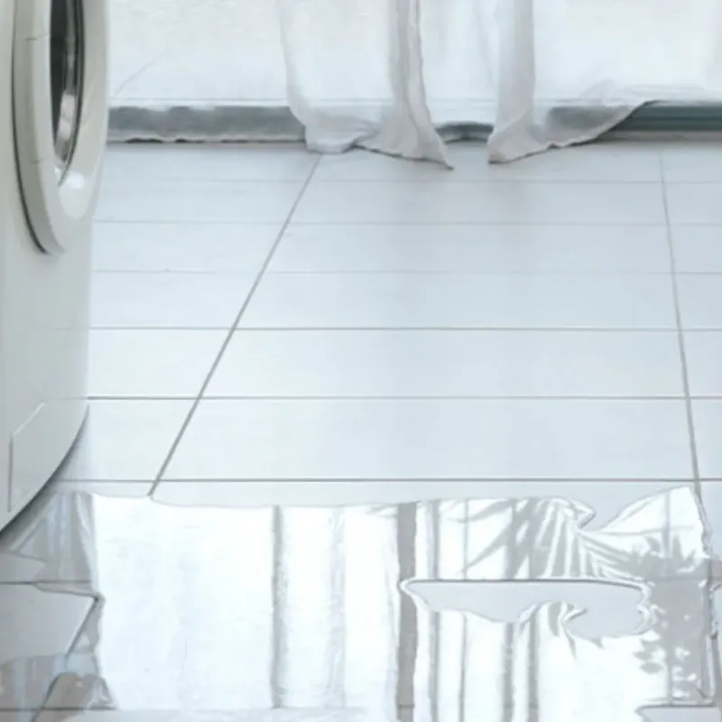 Appliance Leak Cleanup in Liberty, NC