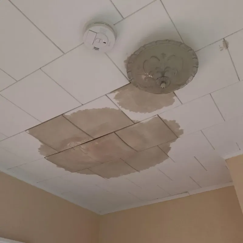 Ceiling Water Damage Repair in Liberty, NC