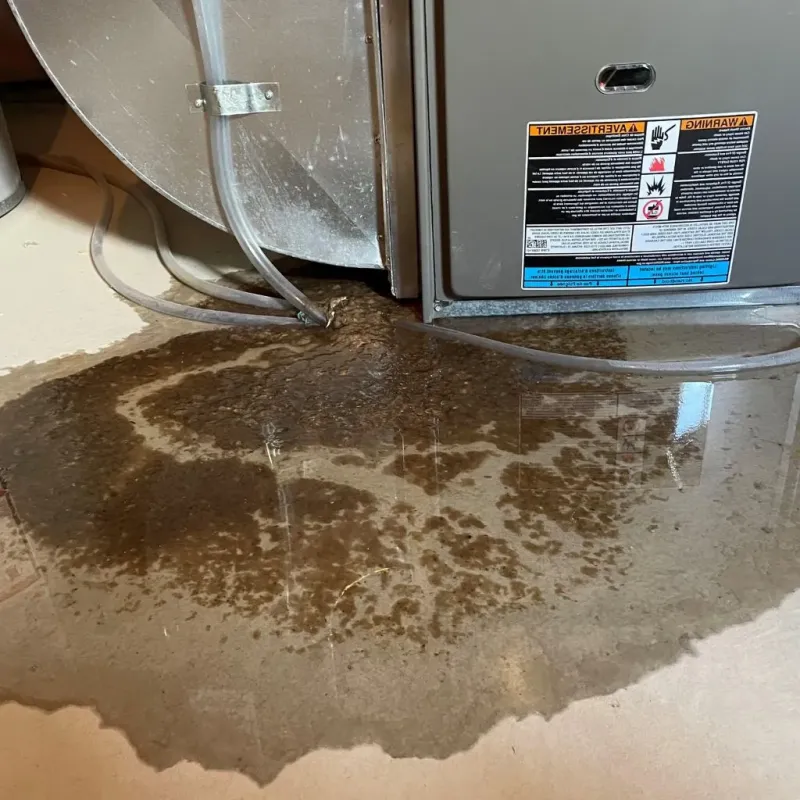 Pipe Burst and Leak Restoration in Liberty, NC