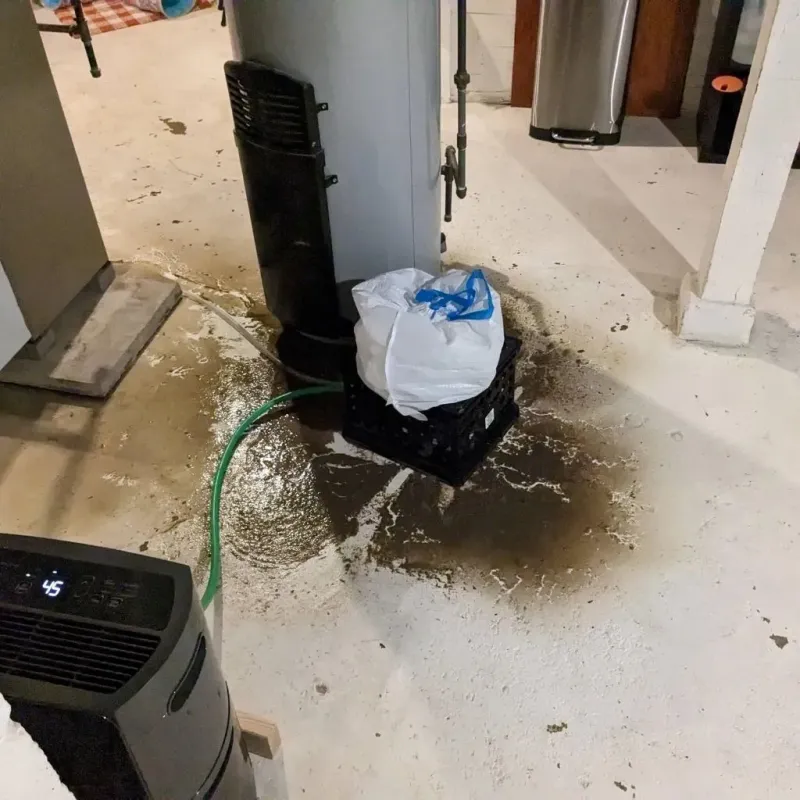 Sewage Backup Cleanup Service in Liberty, NC